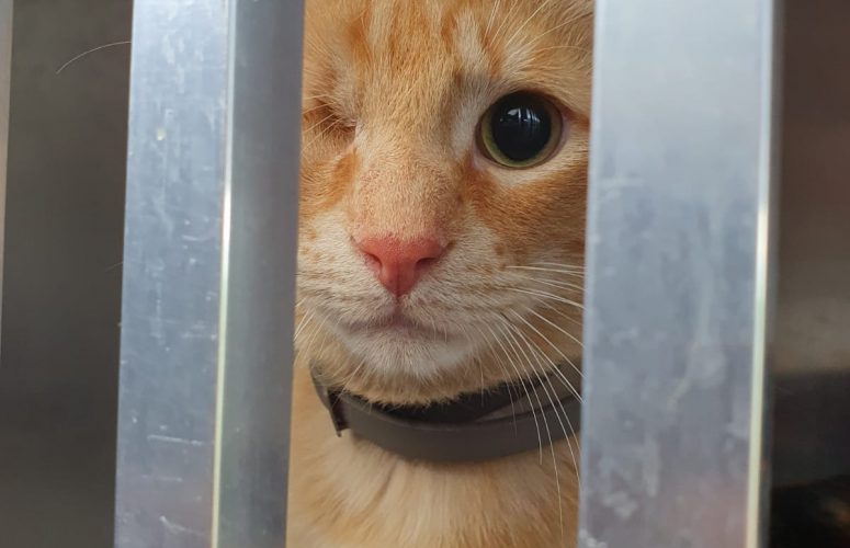 Отправка. Апрель 2023.