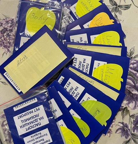 Отправка. Ноябрь 2024.