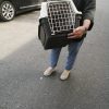 Нас слышат. Эффект Бабочки.