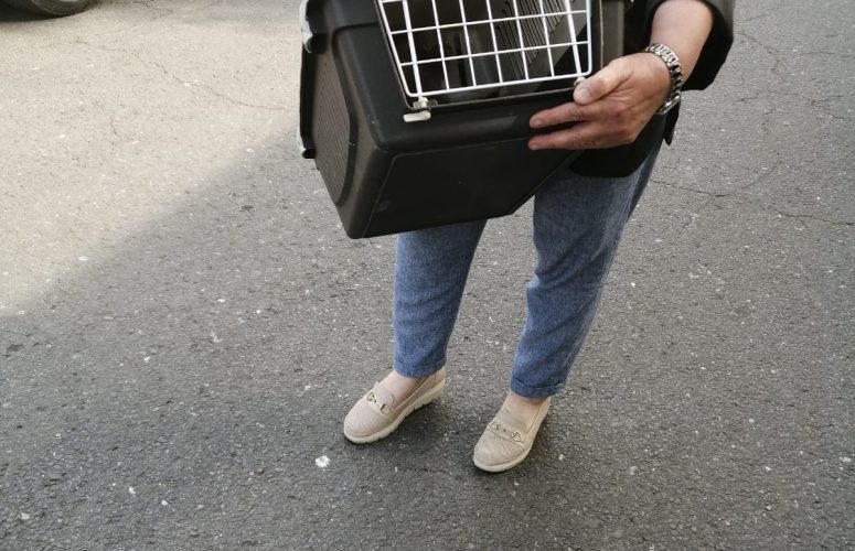 Нас слышат. Эффект Бабочки.