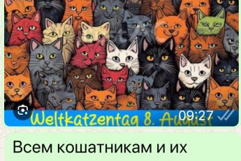 Happy Warld Cat/s day