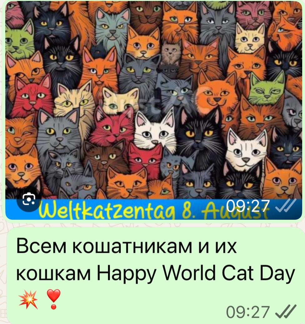 Happy Warld Cat/s day