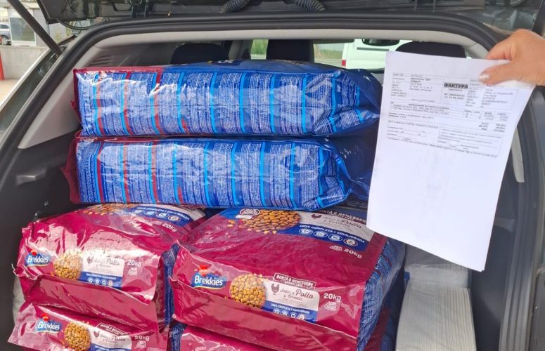 корм для бездомных кошек