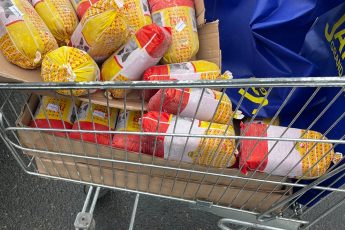 Расходы на корм для бездомных кошек