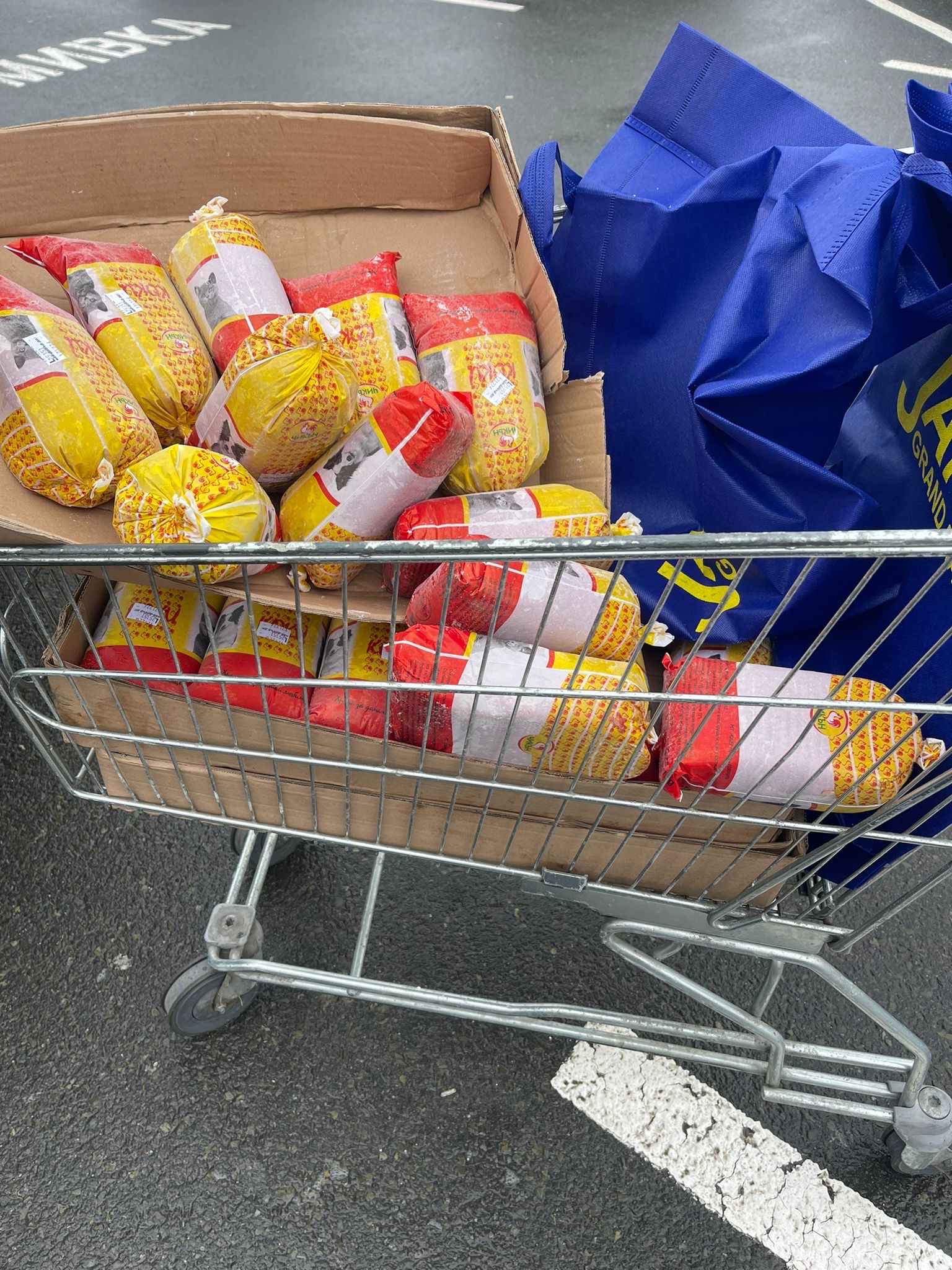 Расходы на корм для бездомных кошек