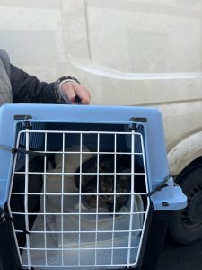 Людвиг поехал домой, в Германию.