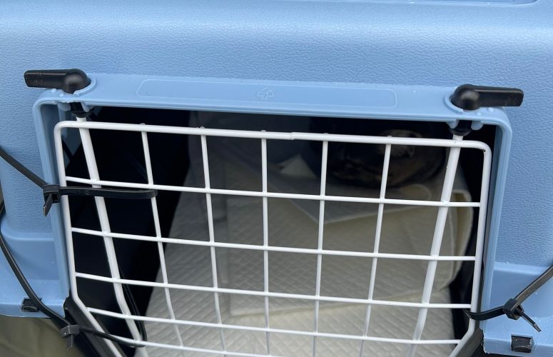 Людвиг поехал домой.