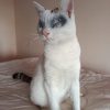 Каспер. Продолжение.