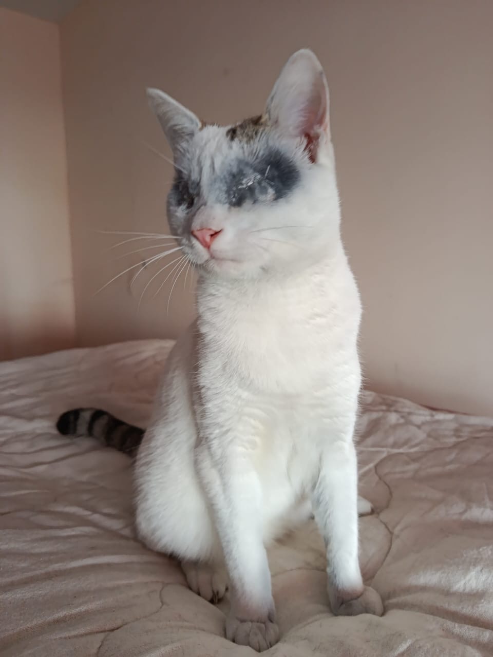 Каспер. Продолжение.