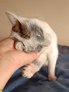 Каспер. Продолжение!