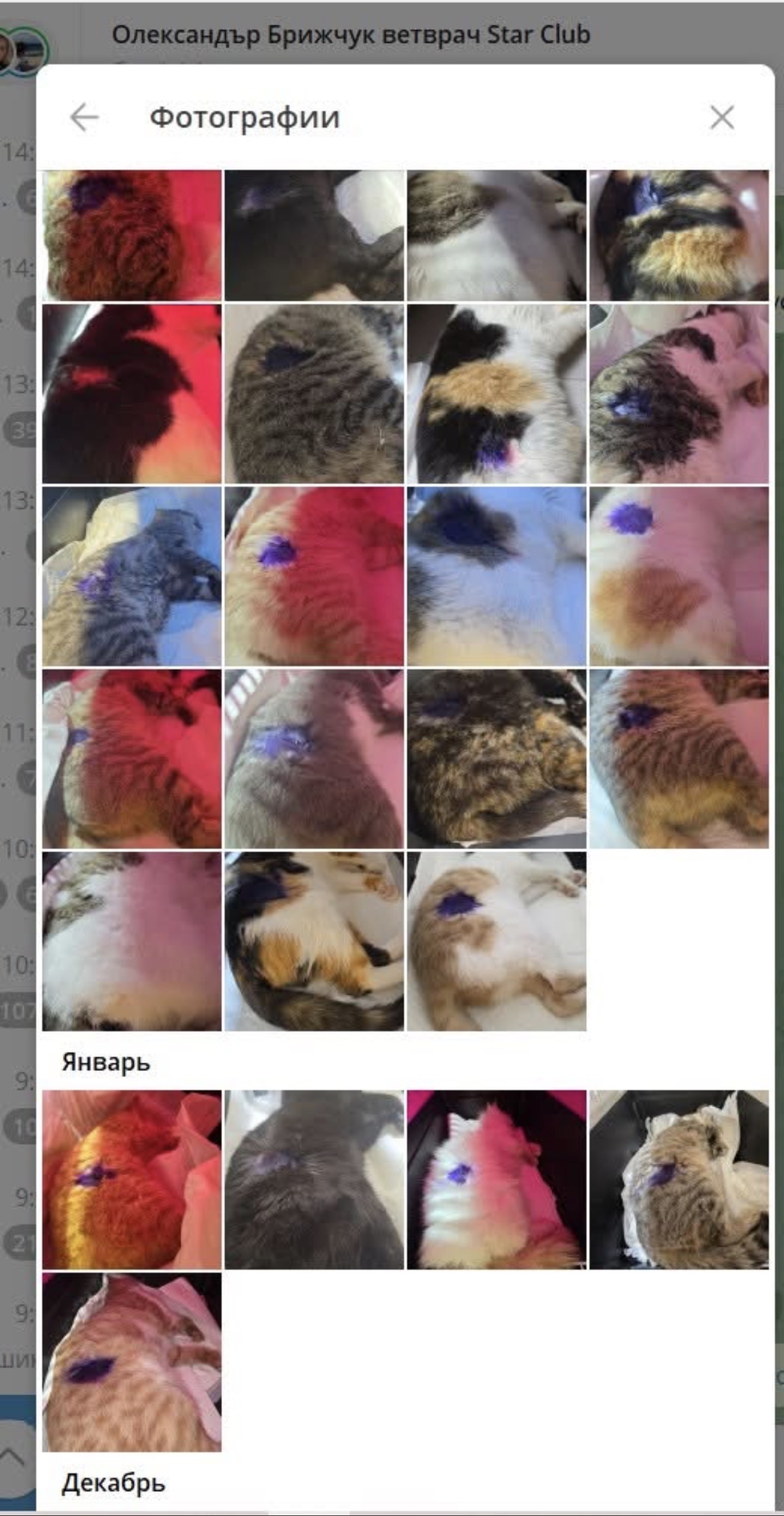 ОПЛАТА КАСТРАЦИЙ