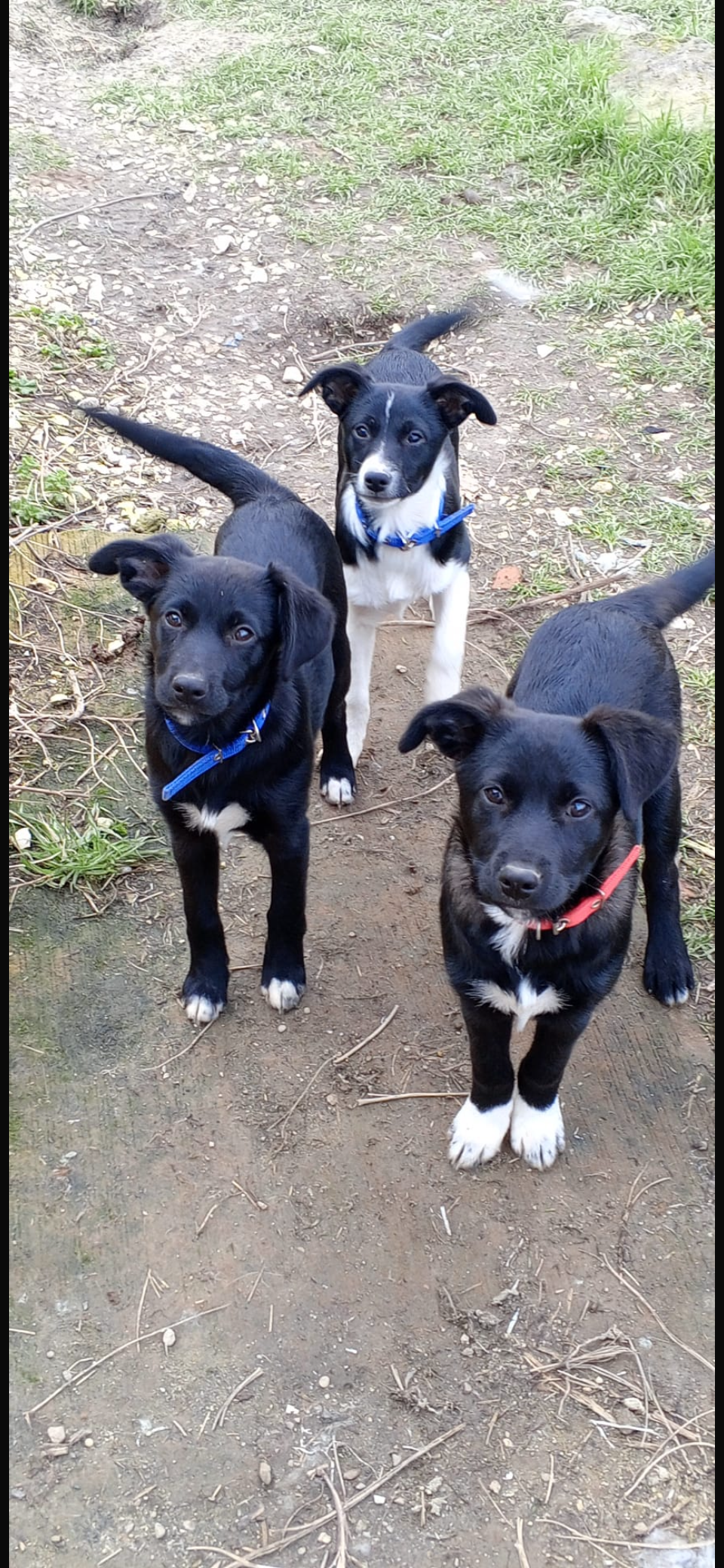 Медовская малышня отправилась домой!