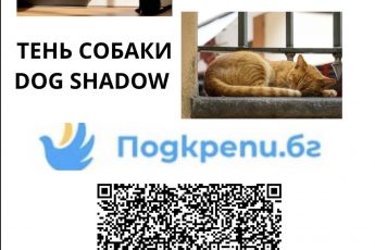 Кастрации 2026! нам нужна помощь.