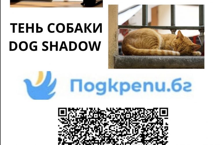 Кастрации 2026! нам нужна помощь.