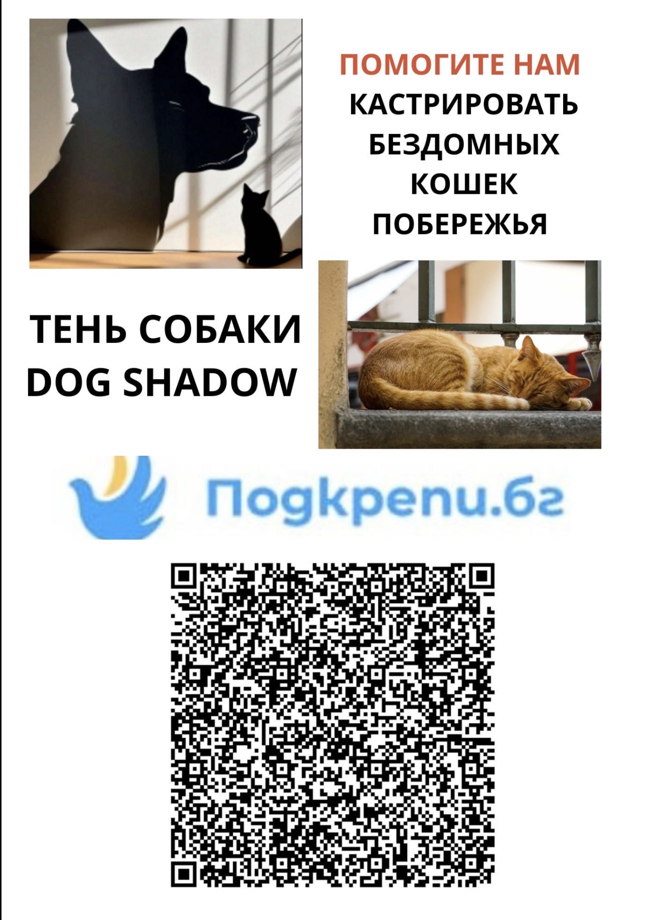 Кастрации 2026! нам нужна помощь.