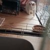 Каспер продолжает сидеть на платной передержке.