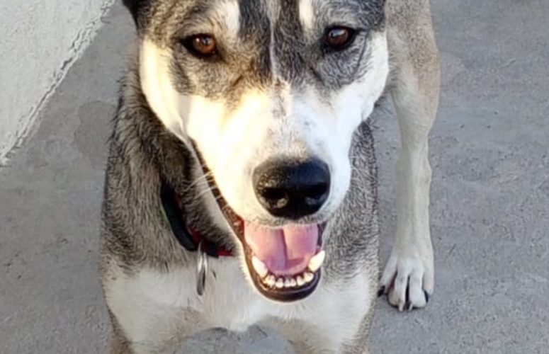 Корм для Димки.