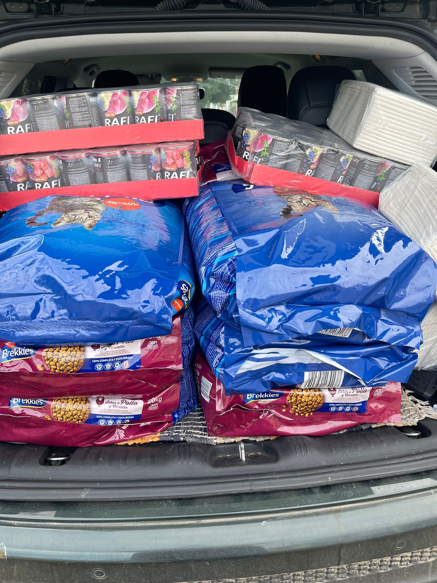 4 апреля - день бродячих животных.