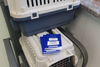 Щенки Инны - ЛЕГАЛИЗАЦИЯ!