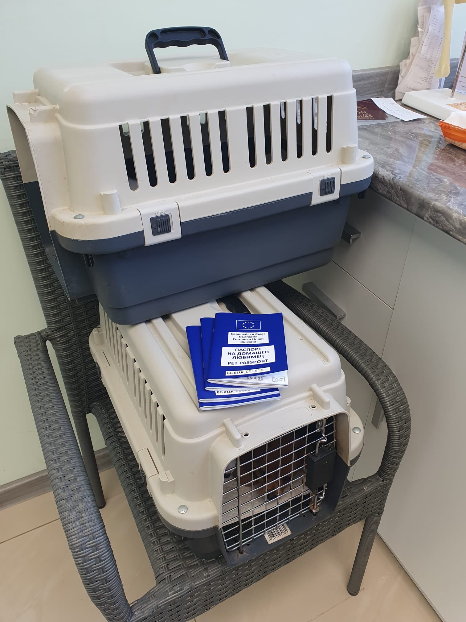 Щенки Инны - ЛЕГАЛИЗАЦИЯ!