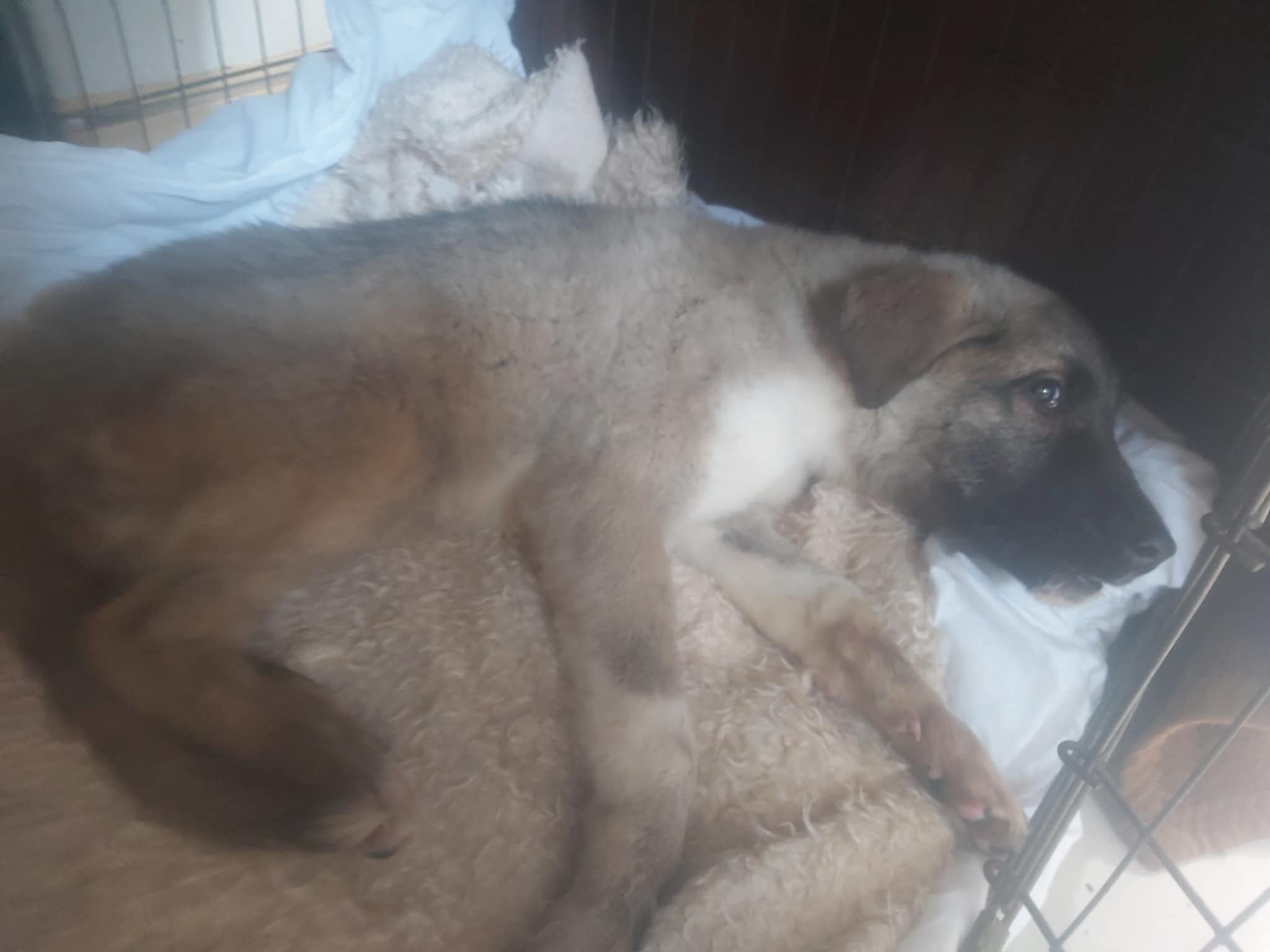 ПОМОГИТЕ ВАРЕ!