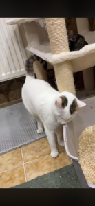 Каспер. Happy END!