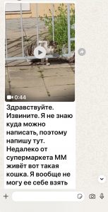 Поможем трёхлапому Флинту.