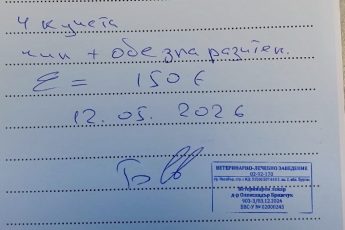 Помощь щенкам на передержке.
