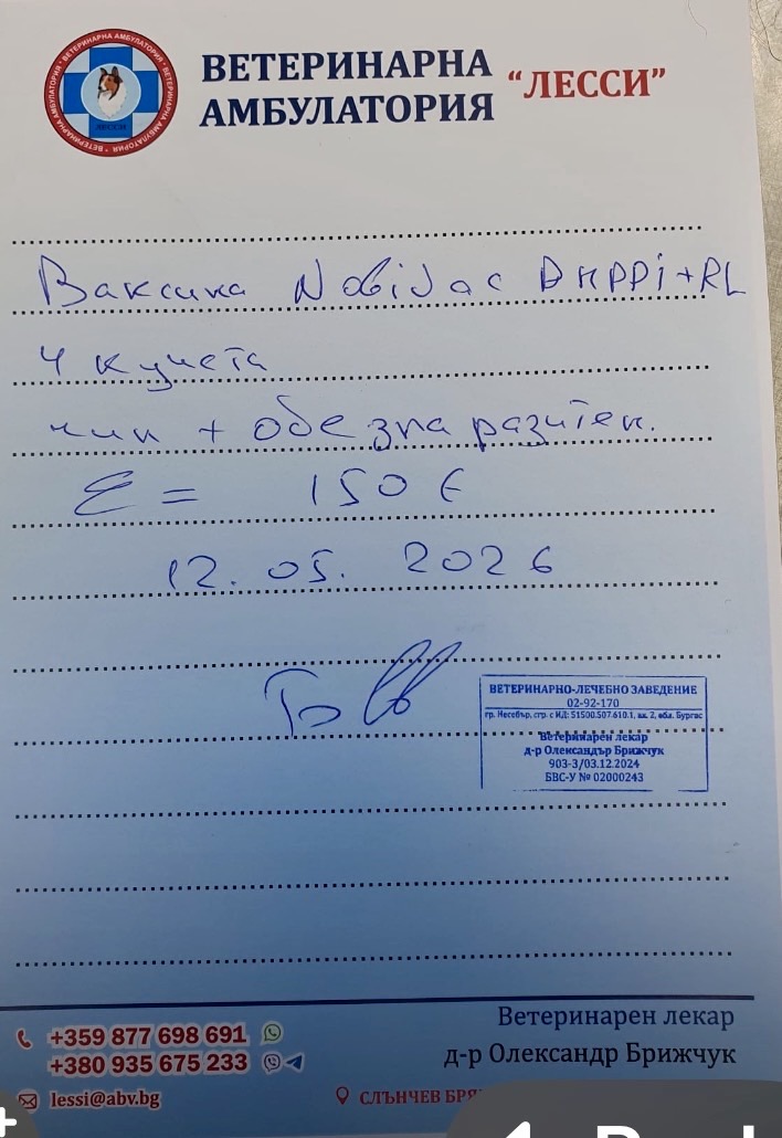 Помощь щенкам на передержке.