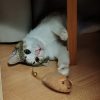 Благодарность от Флинта