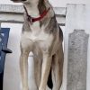 Димке нужен корм.